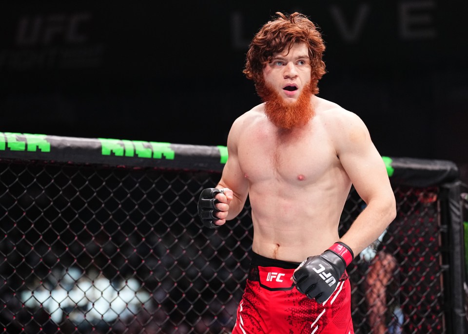 Magomedov is one of the UFC's hottest middleweight prospects