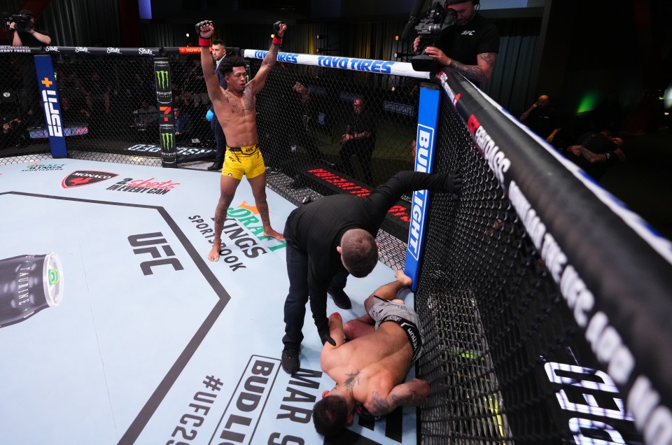Sopaj was left unconscious on the Octagon floor