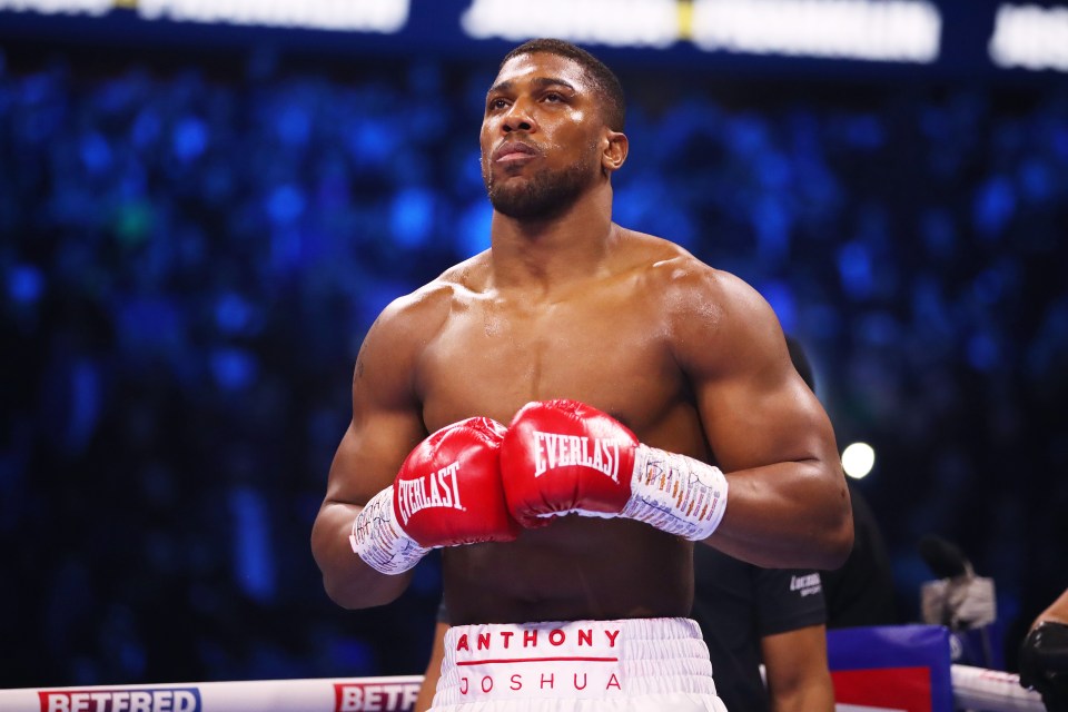 The WBC champion tried to make a September fight with AJ