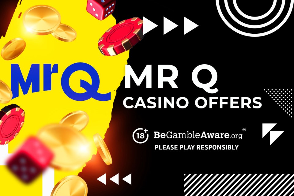 Mr Q Casino offers illustration with coins and dice.