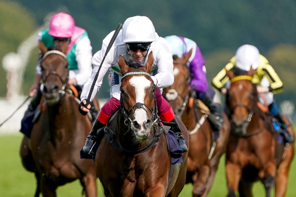DONCASTER, ENGLAND - SEPTEMBER 09: Frankie Dettori riding Free Wind win The Hippo Pro3 Park Hill Fillies' Stakes at Doncaster Racecourse on September 09, 2021 in Doncaster, England. (Photo by Alan Crowhurst/Getty Images)