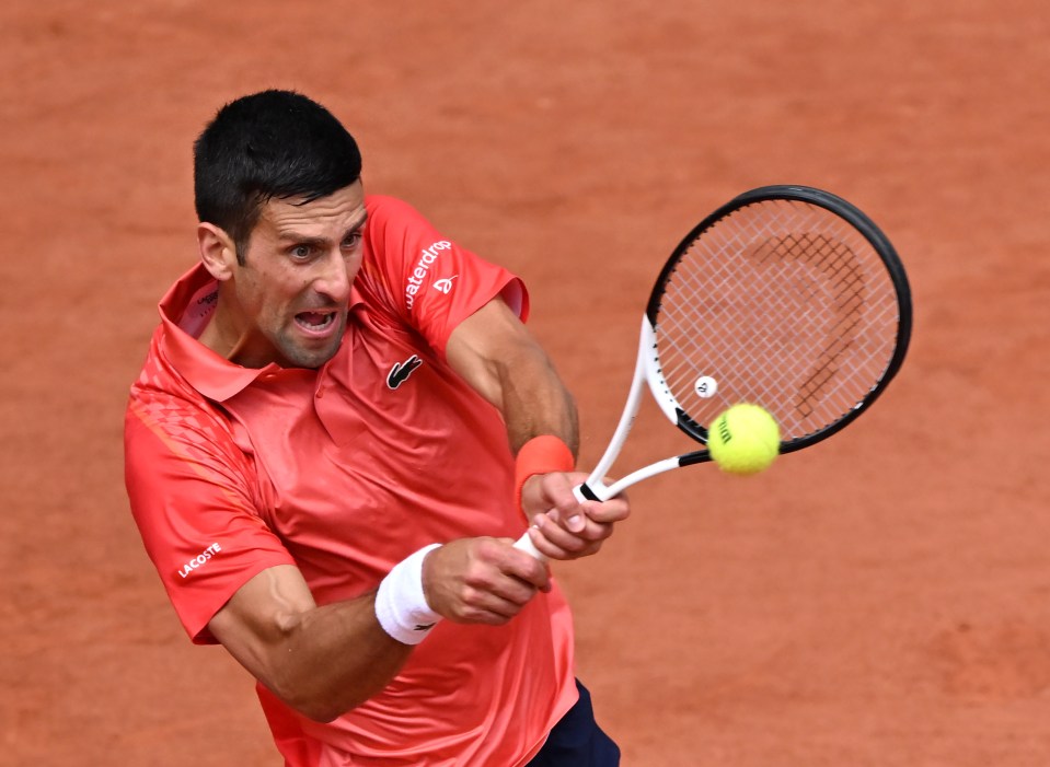 Djokovic could now face Murray in the first round of Wimbledon