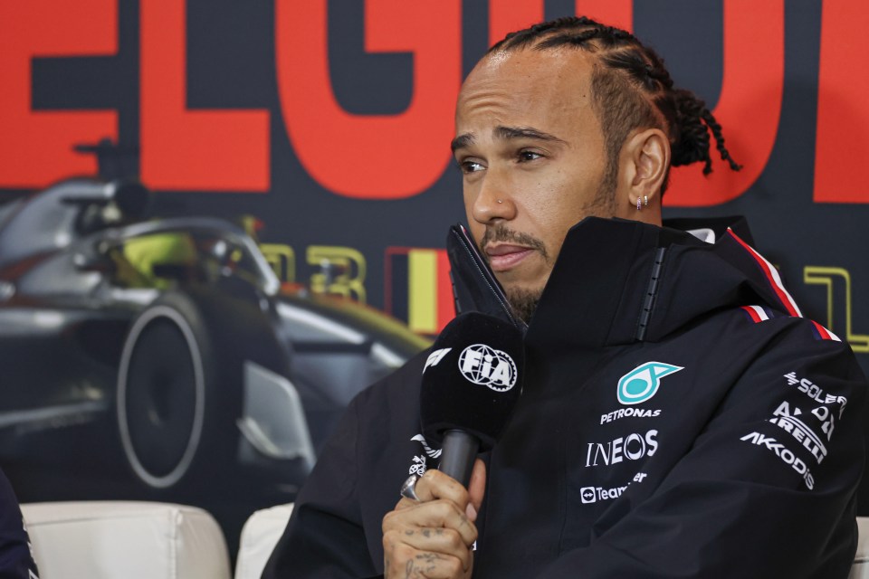 Hamilton may argue he got off lightly