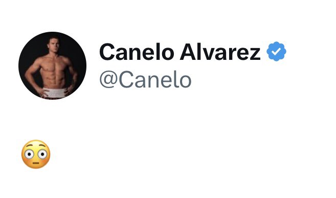 Canelo made his feelings clear without saying one word