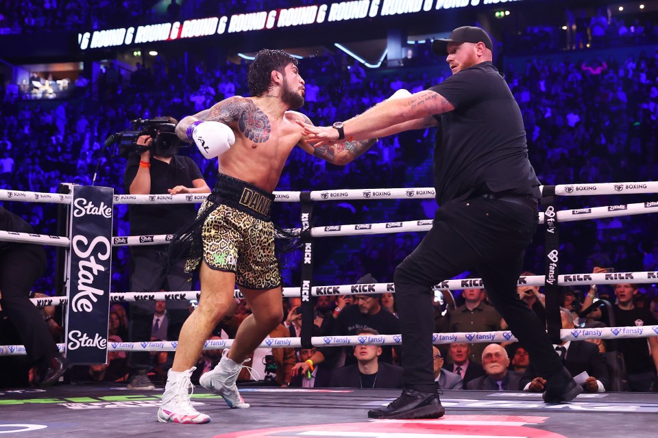 Security stepped in when Danis tried to use MMA moves