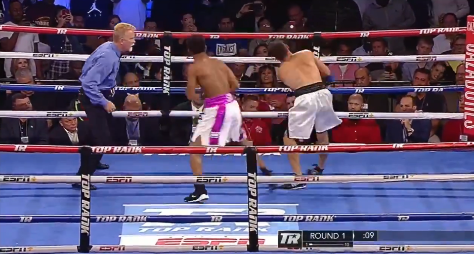 Simion seemed to pause in mid-air after taking the knockout punch from Stevenson
