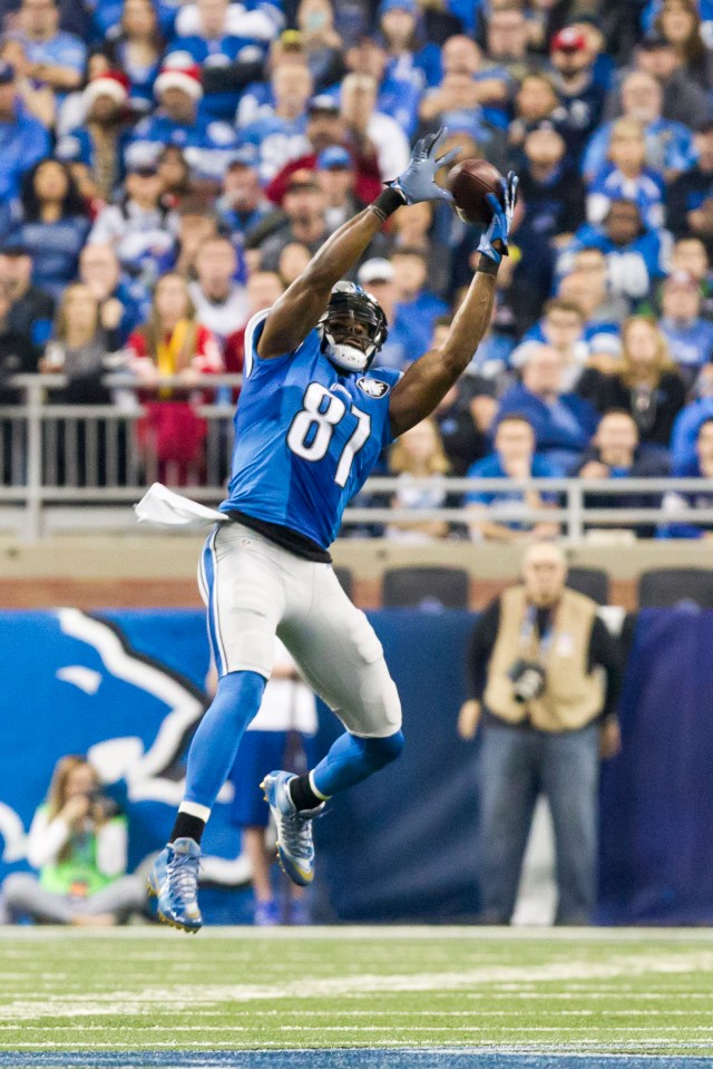 Calvin Johnson's leaping catches and huge gains defined his time with the Lions
