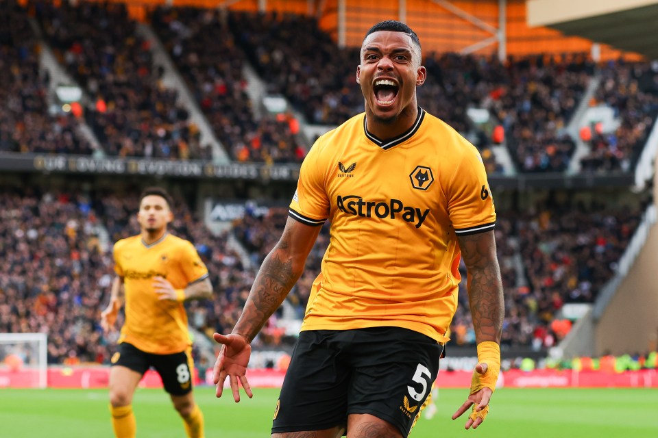 Wolves are enjoying an excellent season