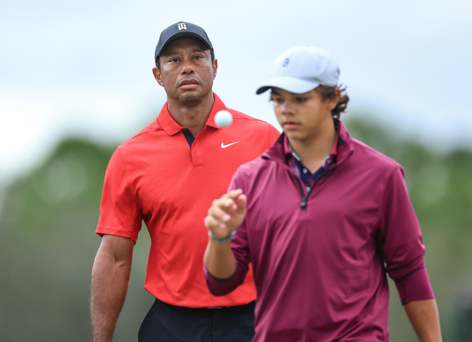 Charlie is ready for the unenviable task of following in dad Tiger's footsteps