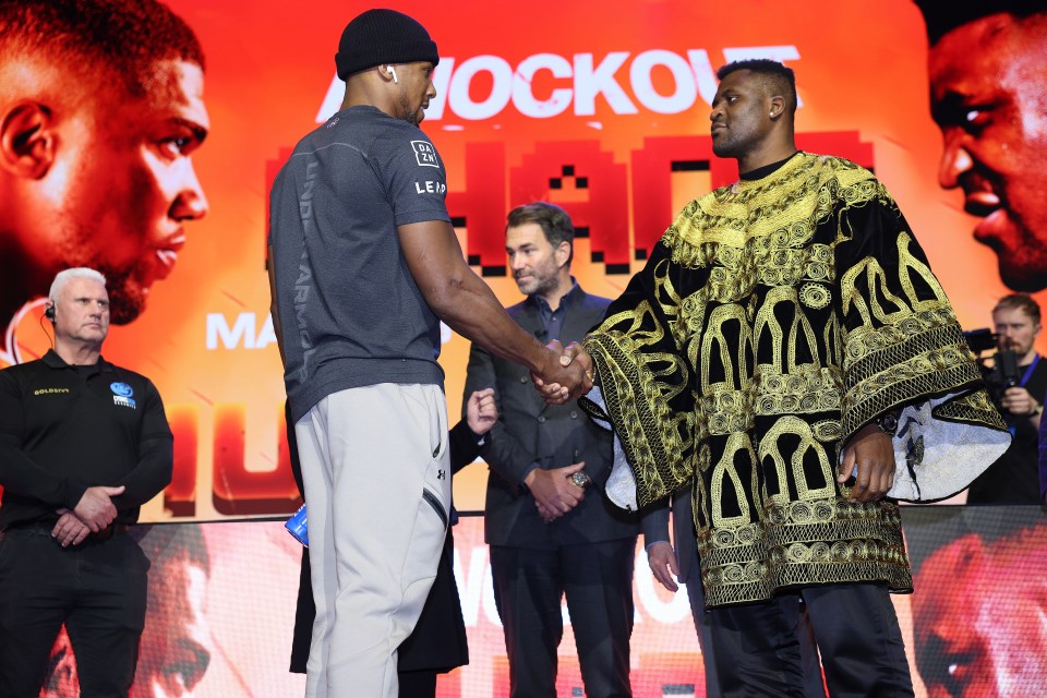 Ngannou put his MMA career on hold for big boxing bouts