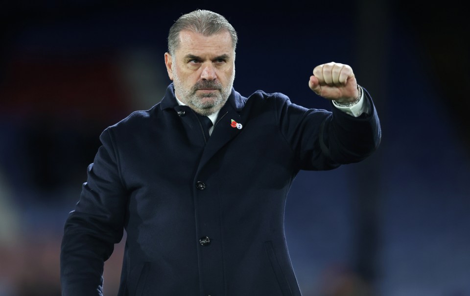 Tottenham have had a strong window for Postecoglou