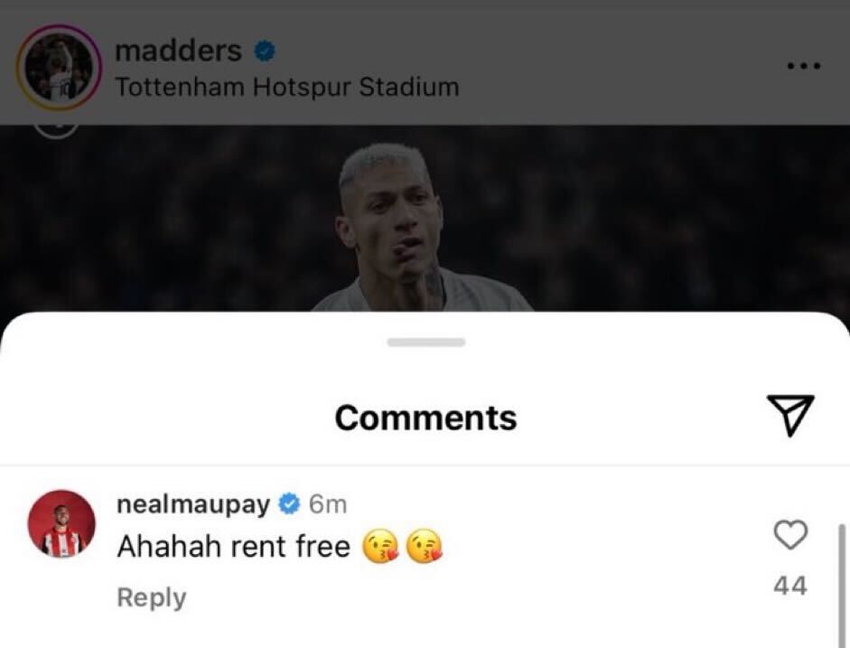 Maupay responded to a post from Maddison on Instagram