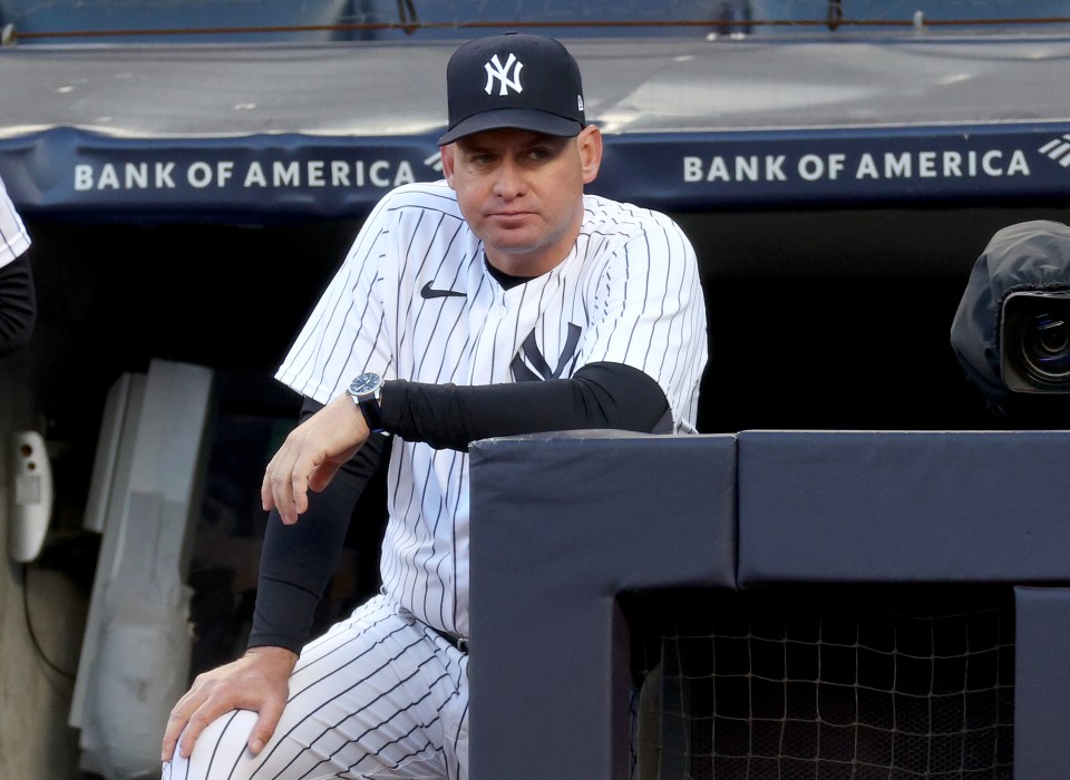 Mendoza starting working with the Yankees franchise in 2009 but stepped up to a major league coaching role for his last five years with the team