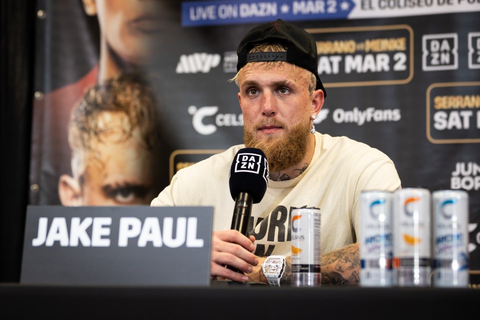 Paul had some brutal words for the UFC superstar