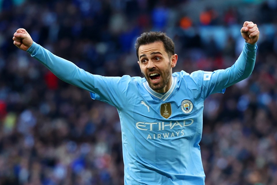 Silva has went from zero to hero for City after scoring the only goal of the game