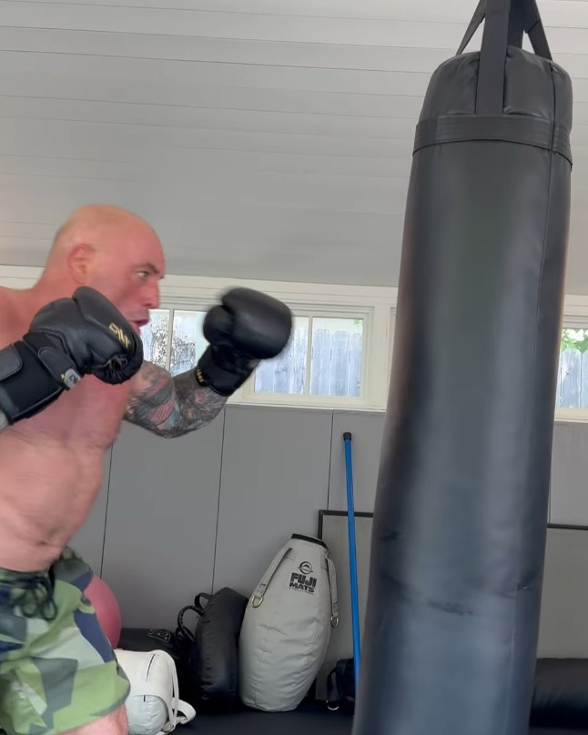 The UFC icon has decent boxing ability