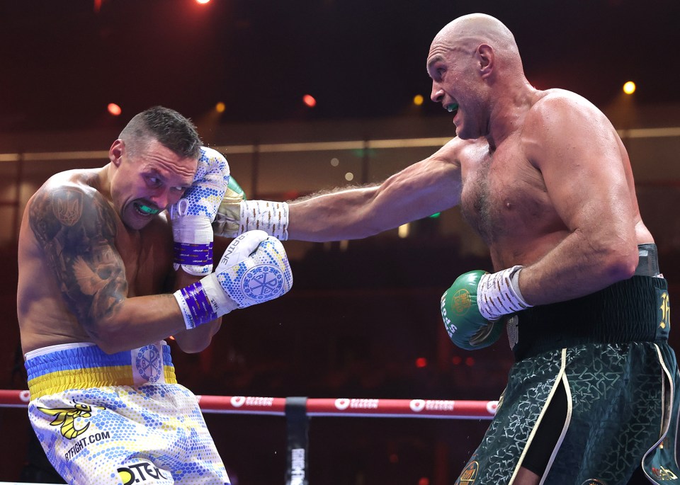 Usyk defeated Fury via split decision in May