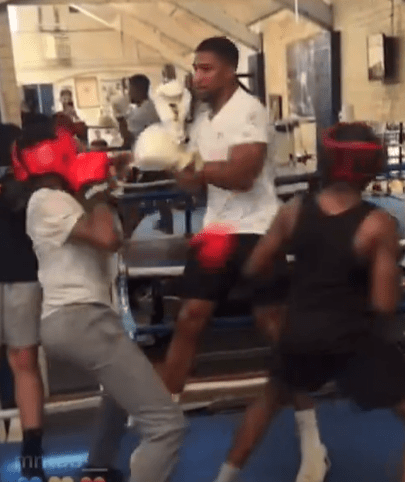 Joshua sparred two youngsters at once in a playful session