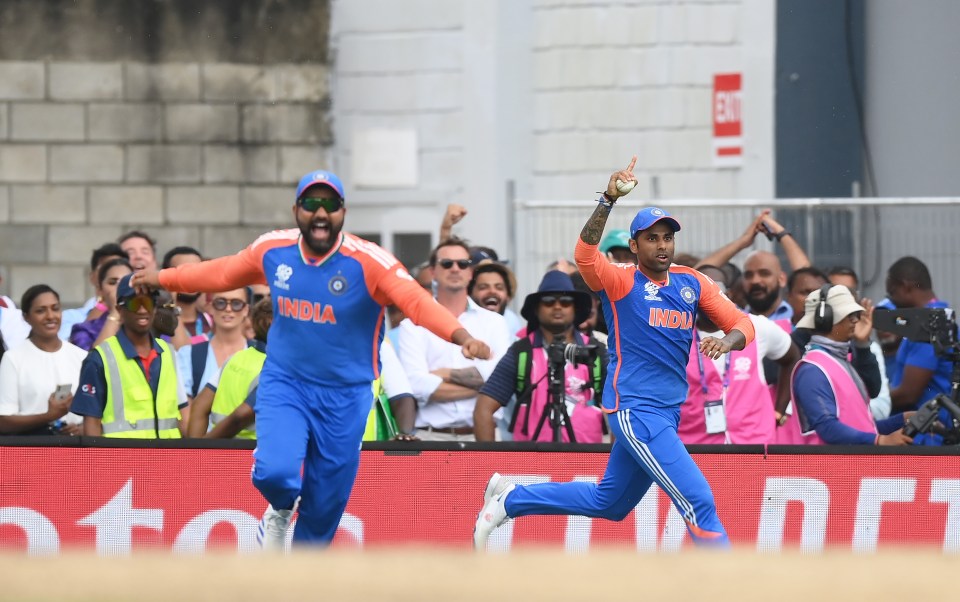 Yadav's catch has been labelled as one of the best in cricket history