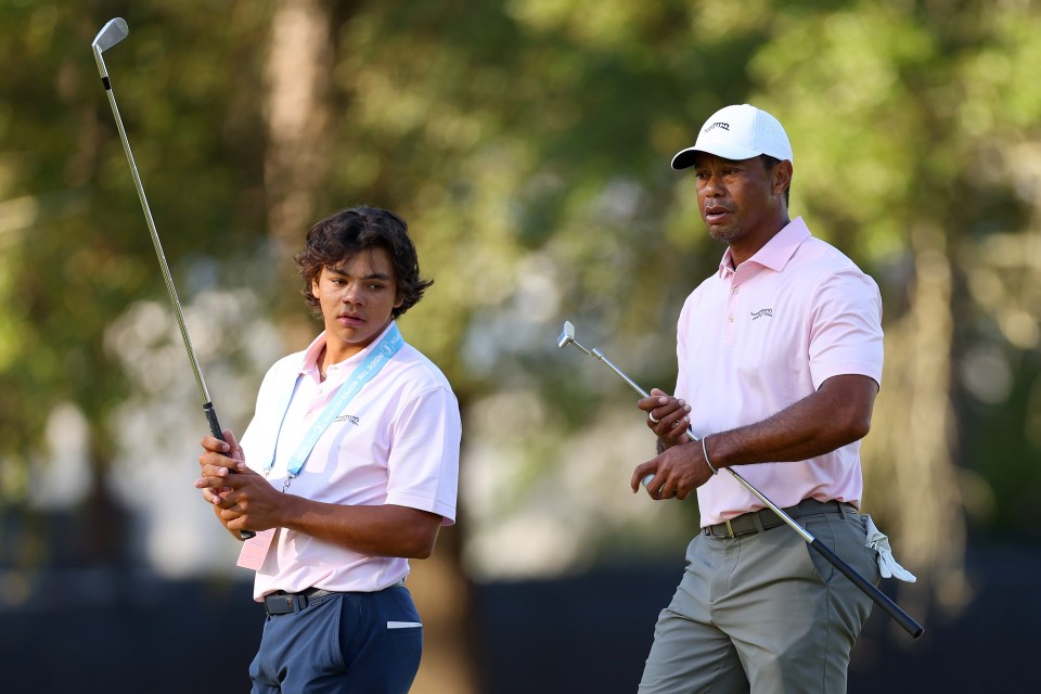 Tiger and Charlie draw a huge crowd when they play together
