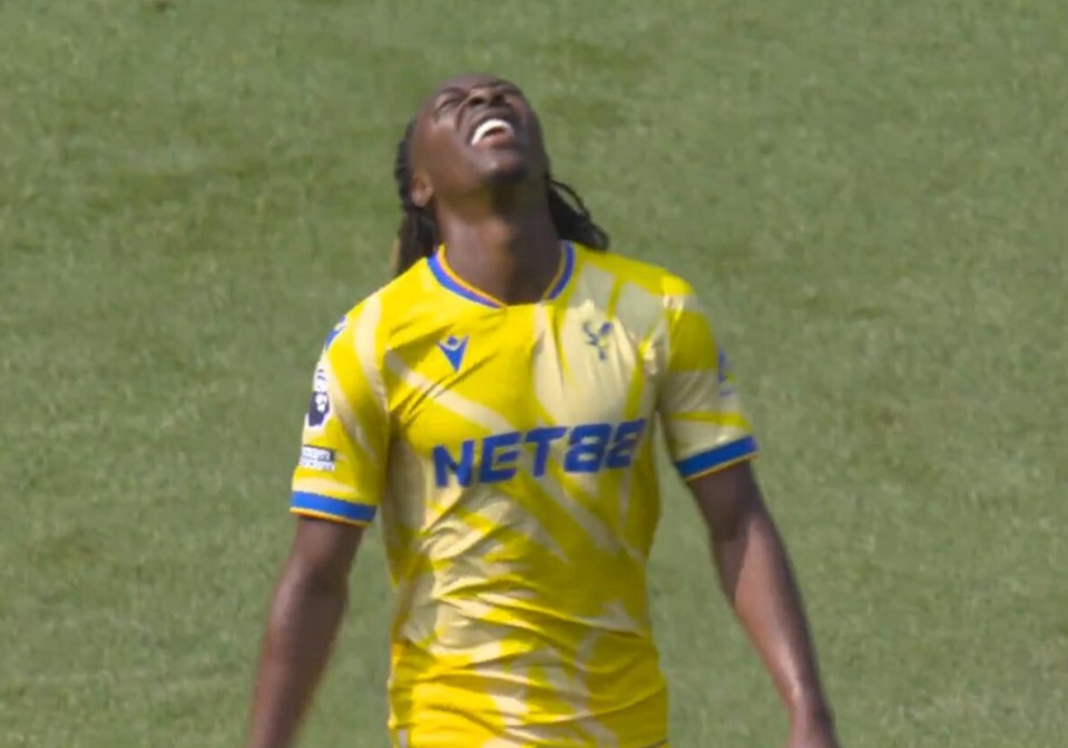 Eze was denied a stunning strike on Sunday afternoon