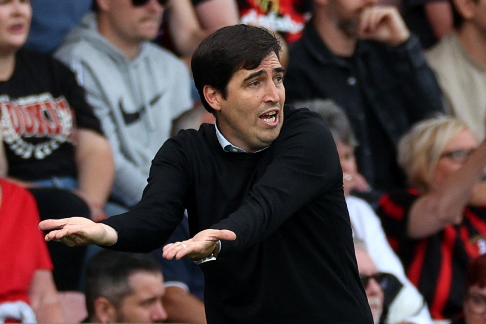 But Andoni Iraola was left furious when a late winner was ruled out