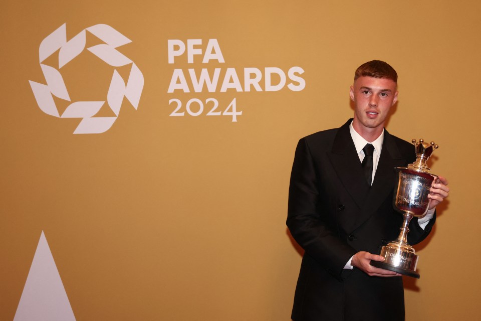 Palmer was named PFA Young Player of the Year