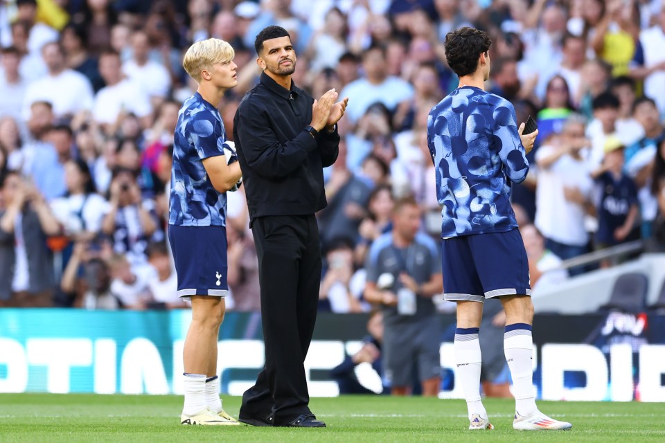 Solanke was introduced to Tottenham fans last weekend