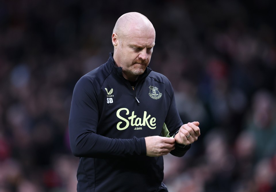 Sean Dyche had a win percentage of 31% as Everton manager