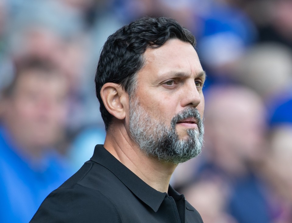 Erol Bulut is under serious pressure at Cardiff City