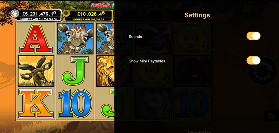Mega Moolah settings screen