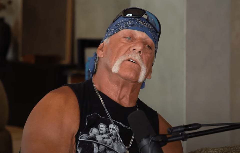 Hulk Hogan indulged himself with a typical wrestling pitch on Impaulsive