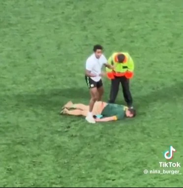 The fan face-planted the turf, leading to medics to rush to his aid