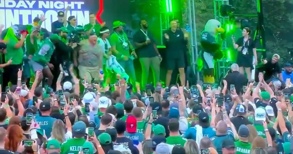 The shirtless fan was in visible agony and later admitted he 'f***** up his knee'