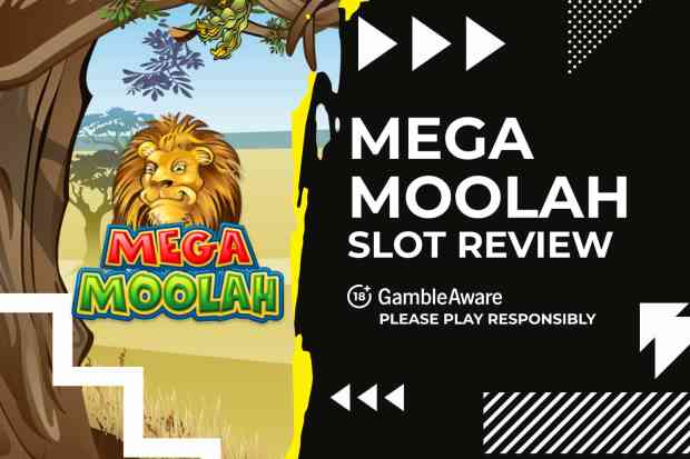Mega Moolah slot review