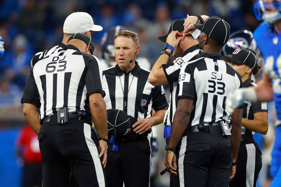 NFL officials have some of the toughest jobs in all of professional sports