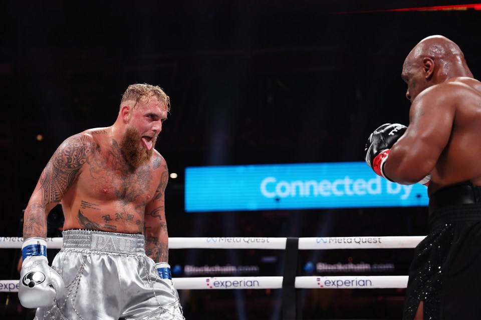 Hardy said Paul, who fought Mike Tyson, could be a success in MMA
