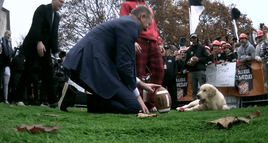Herbstreit's dogs have become well-known on ESPN broadcasts