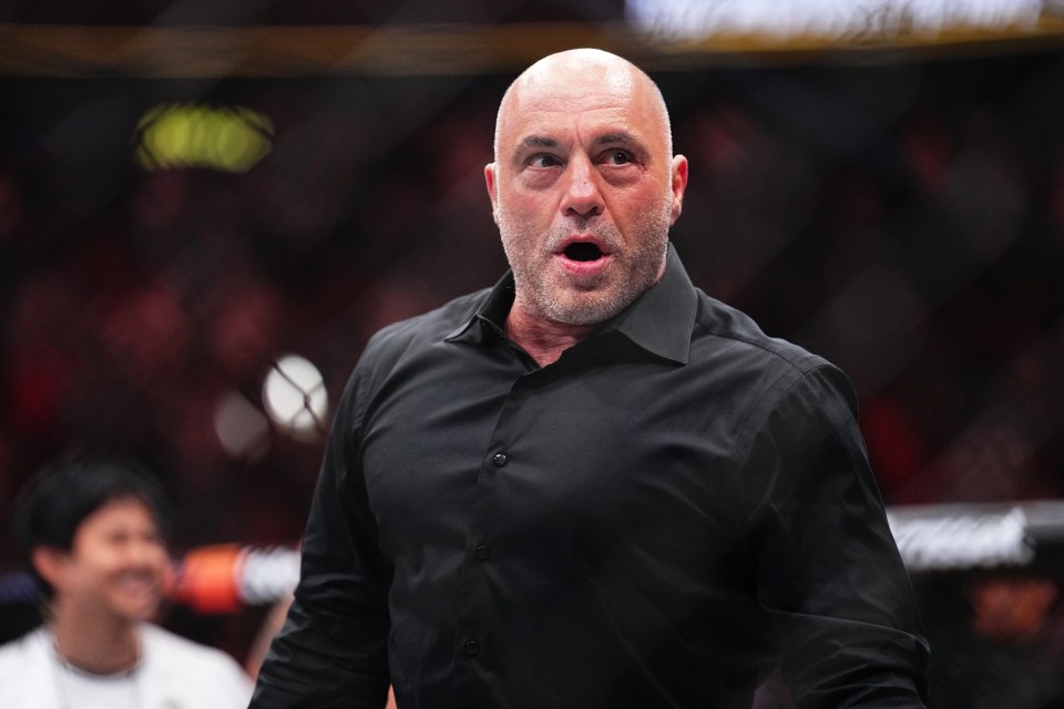 Rogan said it was a 'bummer' but the card still had '10 great fights'