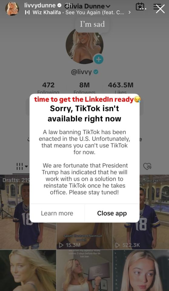Dunne shared a screenshot of her banned TikTok account and joked about joining LinkedIn