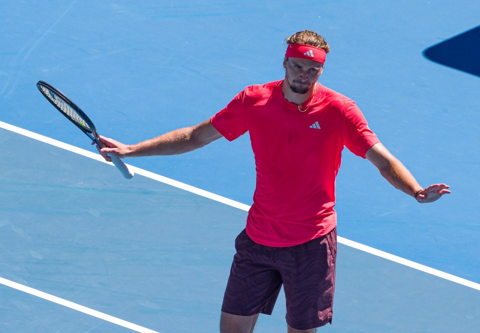 Zverev was quick to call out the fans over some of their shocking behaviour