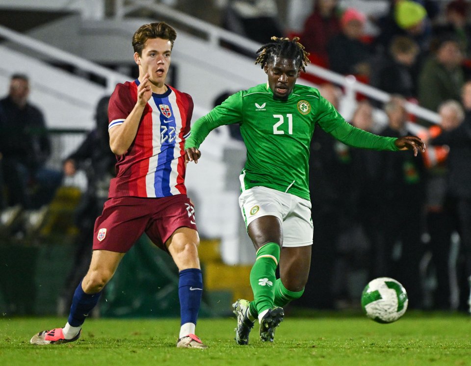 Norwegian starlet Nypan (left) is a player in demand during the winter transfer window