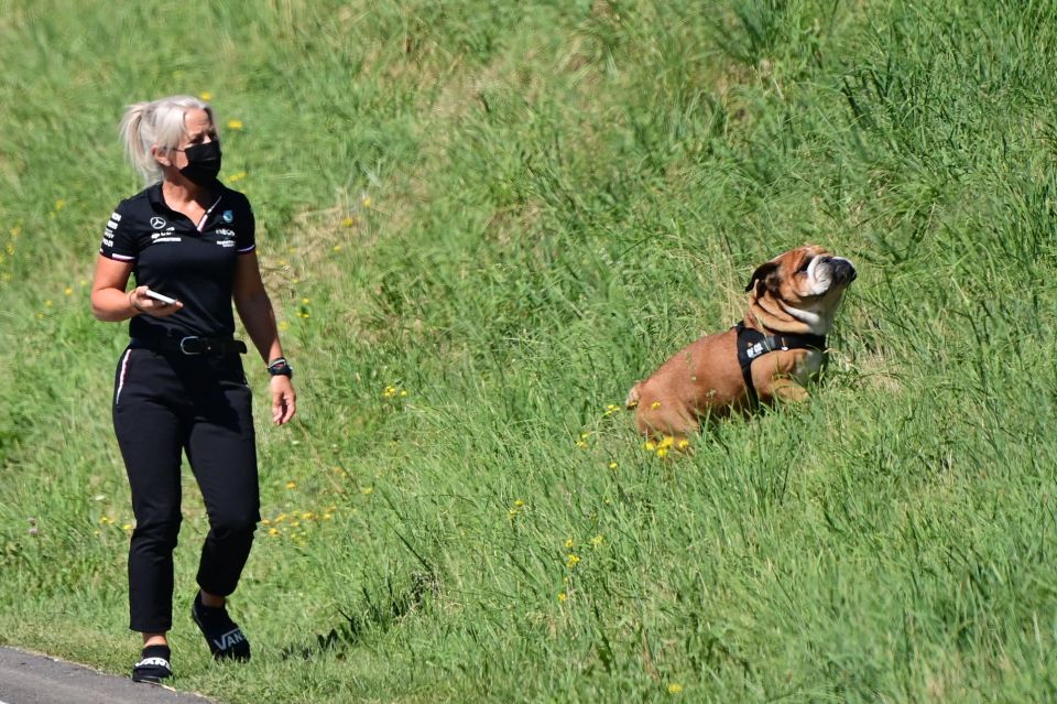On top of driving Hamilton to and from the track and maintaining his health, Cullen even occasionally walks his dogs