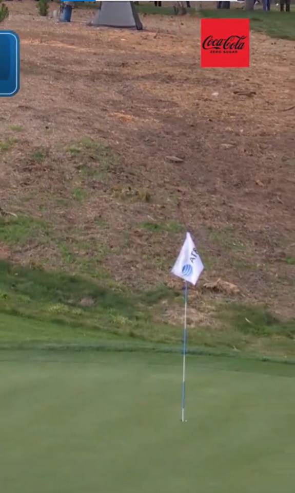 Rory's shot was missed by the broadcast cameras