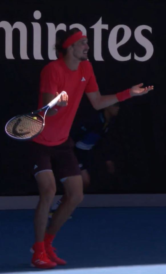 Zverev was left shocked after the umpire immediately ordered the point to be replayed