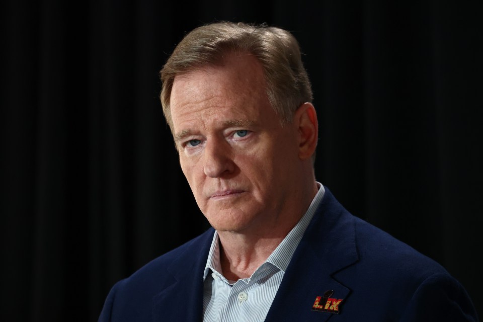 NFL commissioner Roger Goodell had a lot to cover on Super Bowl media night