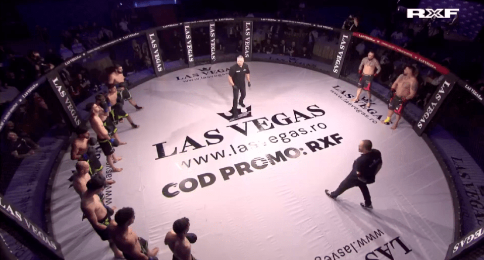 Ten amateur MMA fighters facing two professionals in a ring.