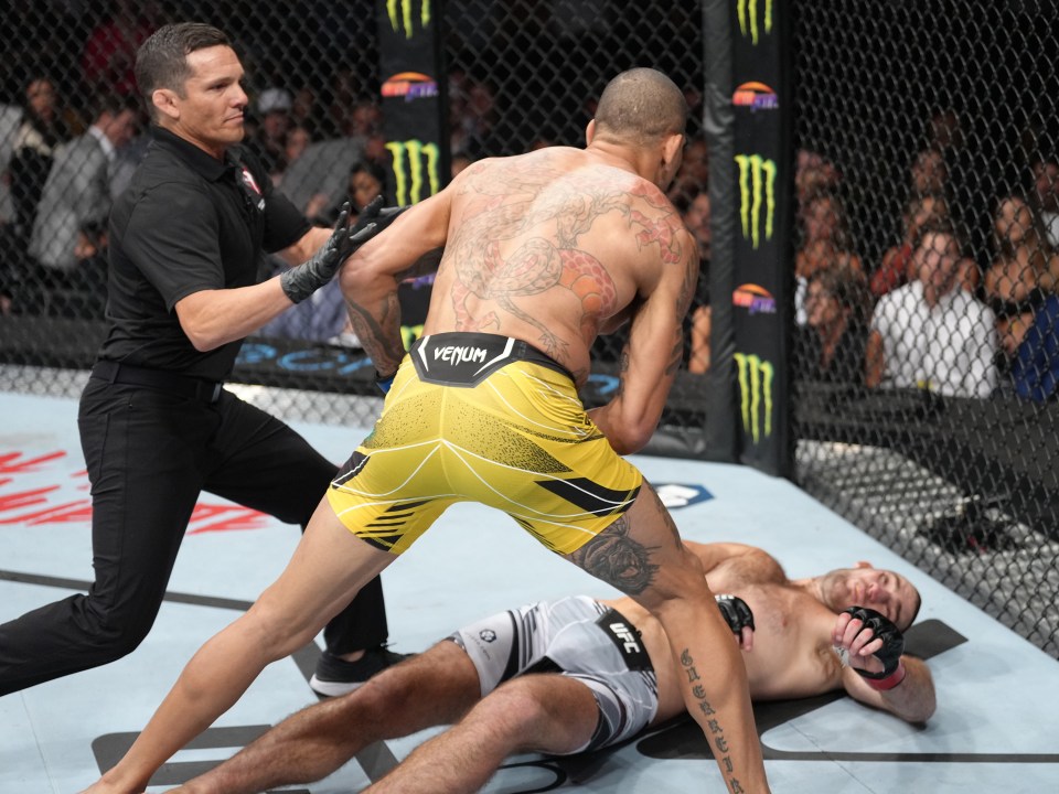 Before Pereira finished him with a thunderous jab