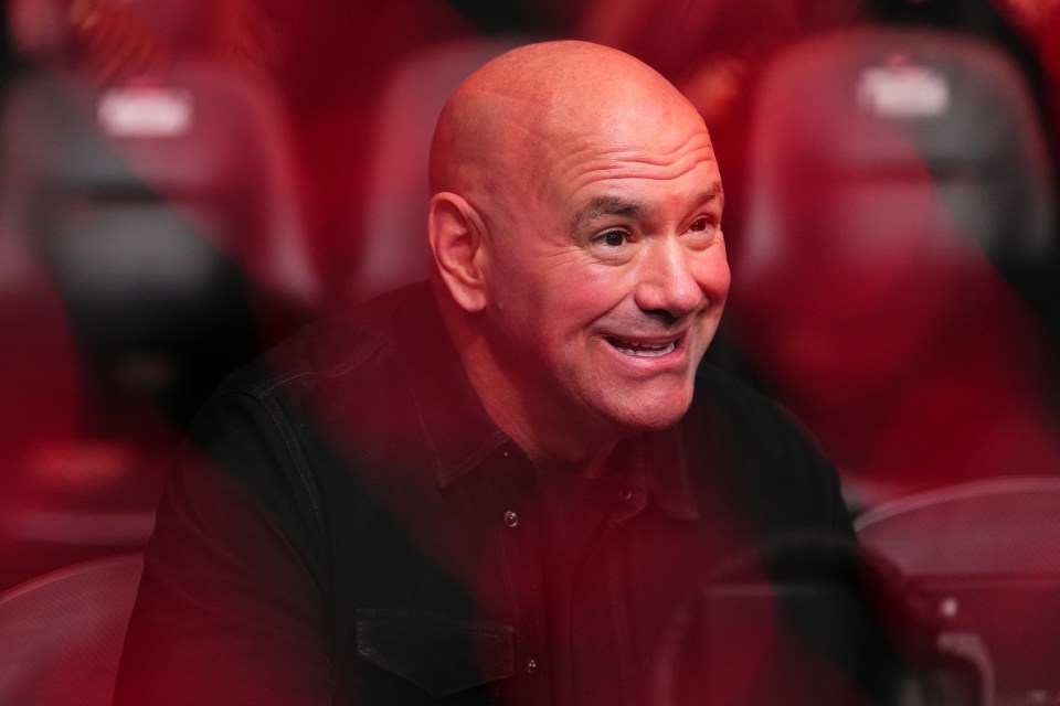 White insists that Pereira could fight the winner of a huge clash between Jones and Aspinall