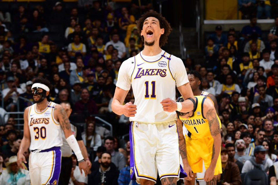 Hayes is the Lakers' center at the moment